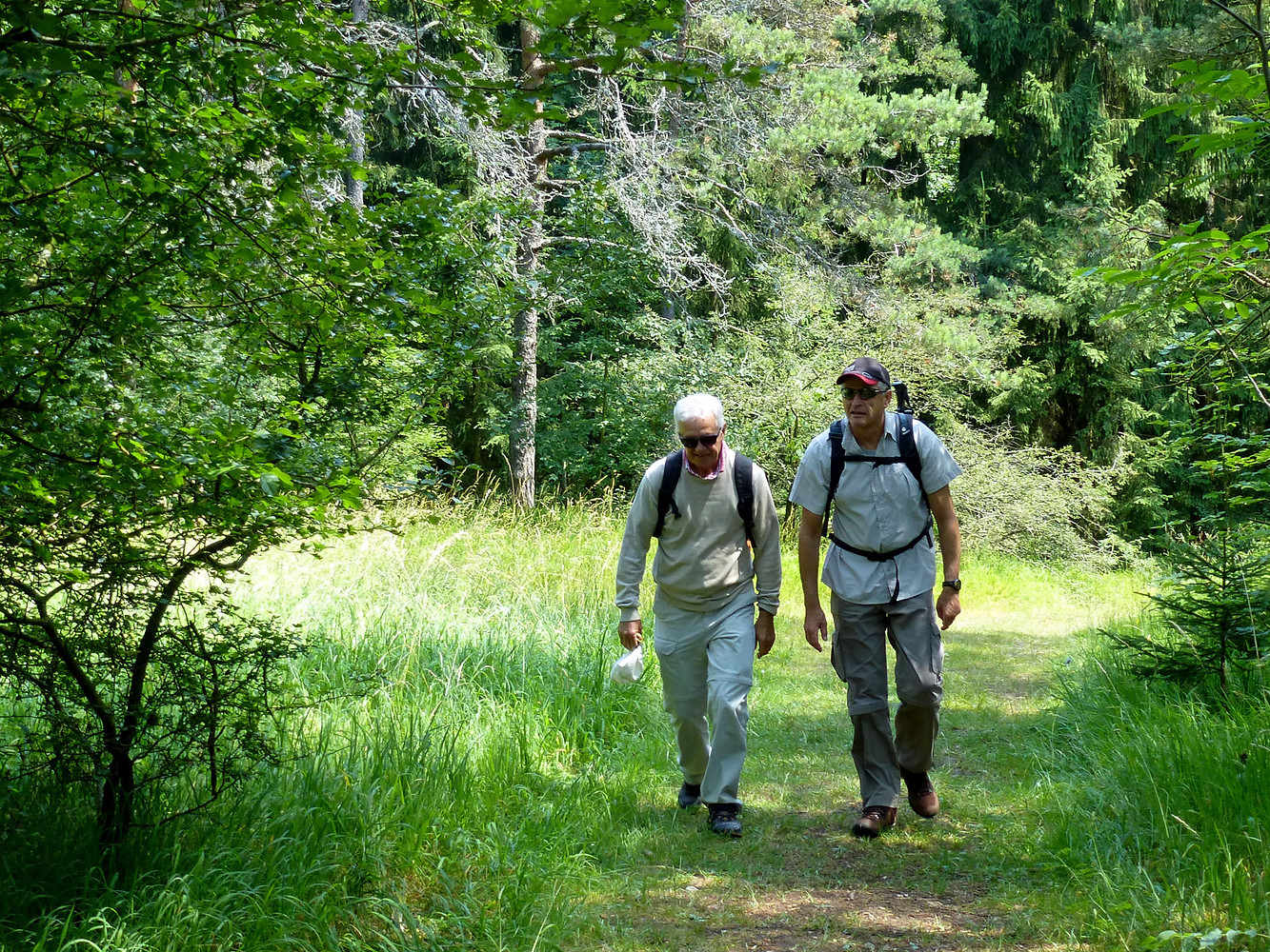 Waldpfad zur Hohen Metze &ndash;  (VGN &copy;&nbsp;VGN GmbH)