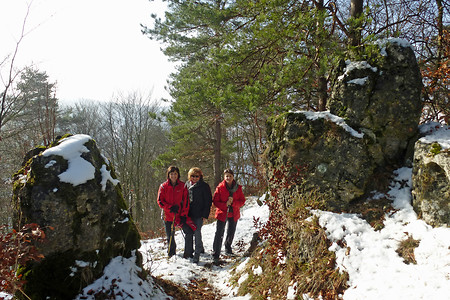 Auf dem Hirtenberg &ndash; (01.02.2014, VGN &copy;&nbsp;VGN GmbH)