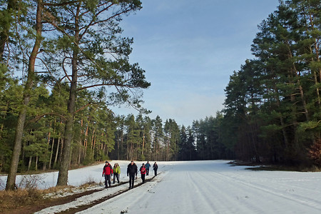 Winter in der Frankenalb &ndash; (01.02.2014, VGN &copy;&nbsp;VGN GmbH)