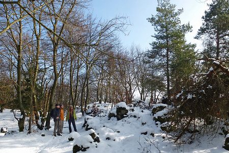 Am Hirtenbergkamm &ndash; (01.02.2014, VGN &copy;&nbsp;VGN GmbH)