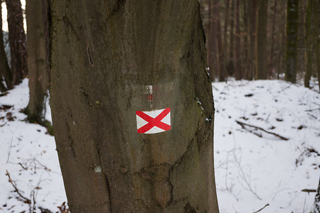 (Geänderte) Wegmarkierung &ndash; Früher leitete uns hier das Rotkreuz, jetzt das rote Andreaskreuz (VGN &copy;&nbsp;VGN GmbH)