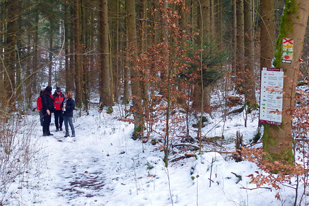 Albquerweg &ndash; (01.02.2014, VGN &copy;&nbsp;VGN GmbH)