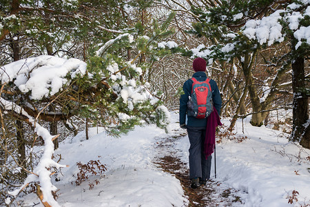 Hirtenberg, Weg zum Gipfel &ndash; (VGN &copy;&nbsp;VGN GmbH)