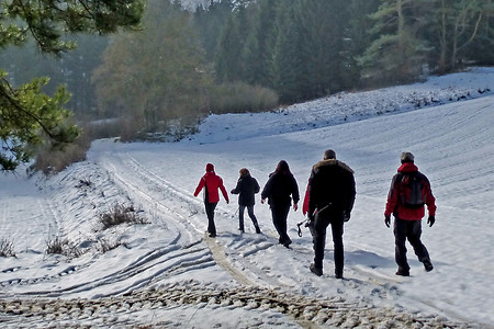 Nach Bärnhof &ndash; (01.02.2014, VGN &copy;&nbsp;VGN GmbH)