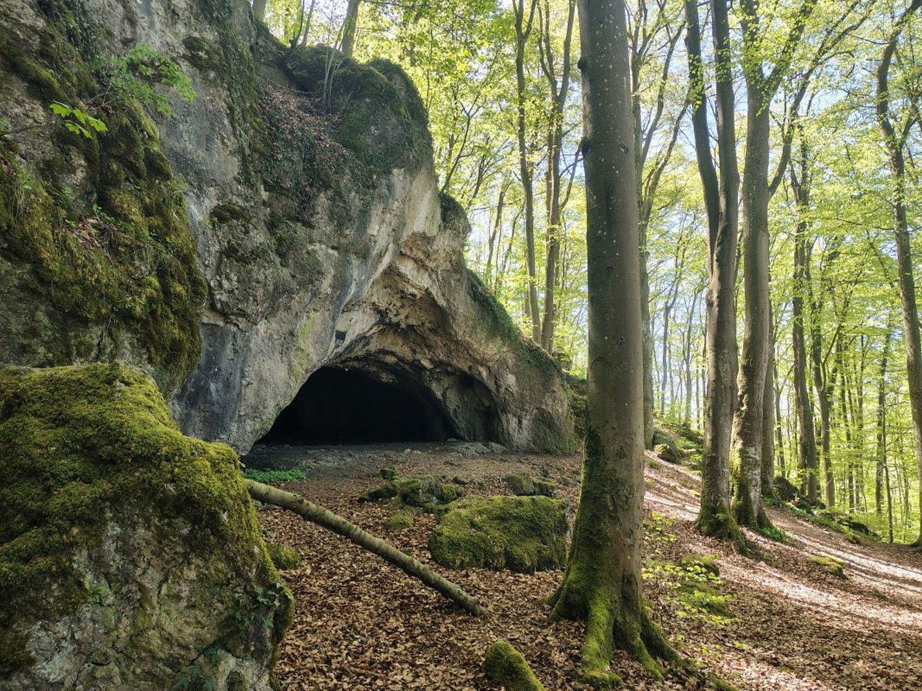 Oswaldhöhle &ndash;  (&copy;&nbsp;Stemper_NP)