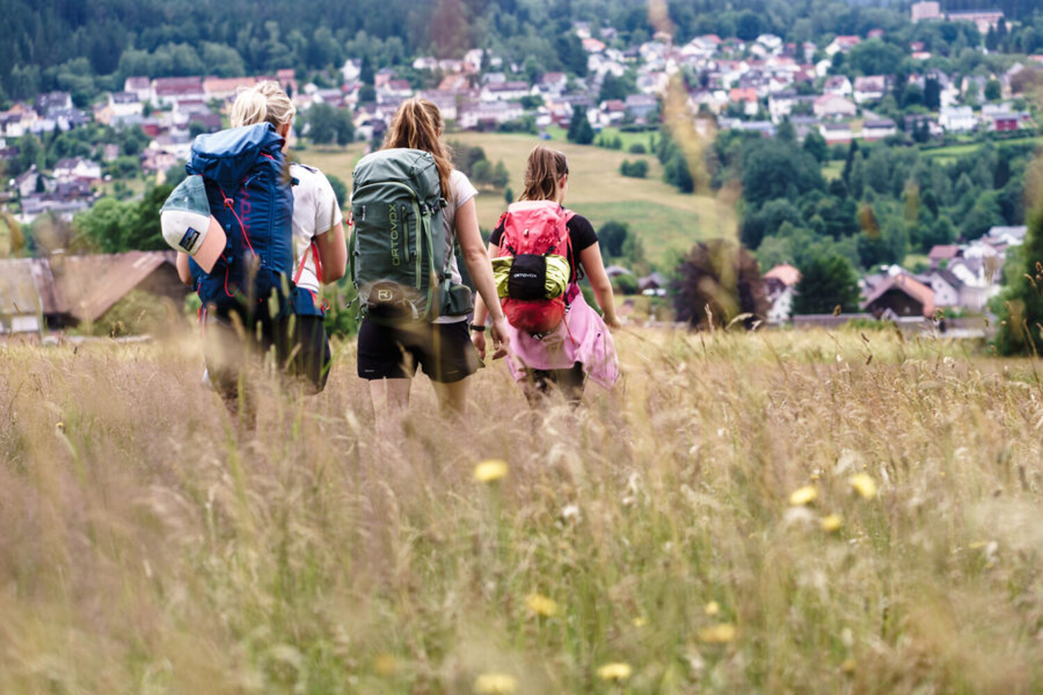 Bei Bischofsgrün &ndash;  (04.07.2021, Ulrich Büscher &copy;&nbsp;VGN)