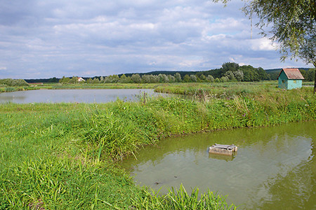 Wiesen, Weiher, Wald &ndash; (25.08.2010, up3 &copy;&nbsp;up3)