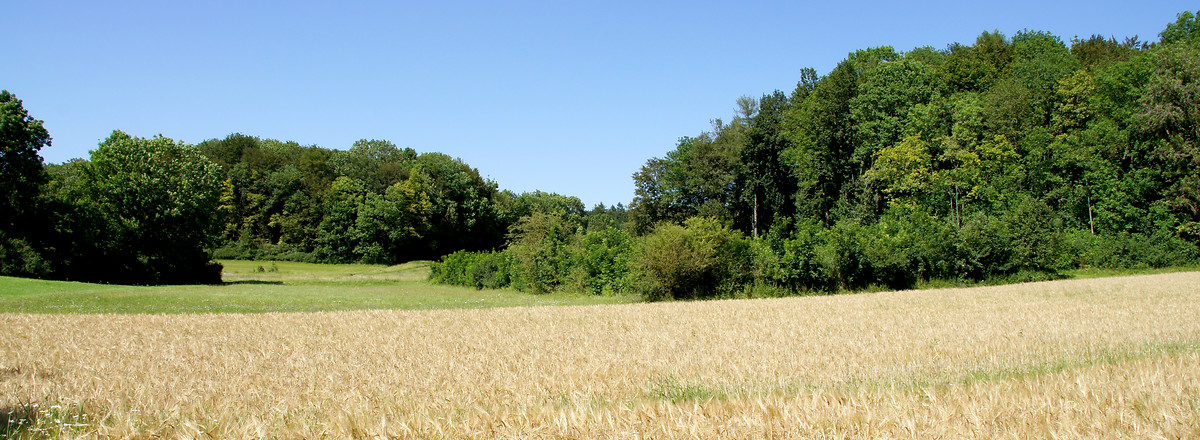 Fünf-Seidla-Steig®: Bei Thuisbrunn &ndash;  (16.07.2011, VGN &copy;&nbsp;VGN GmbH)