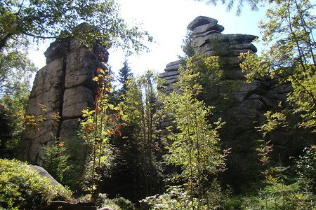 Am Rudolfsattel &ndash; (04.09.2011, VGN &copy;&nbsp;VGN GmbH)