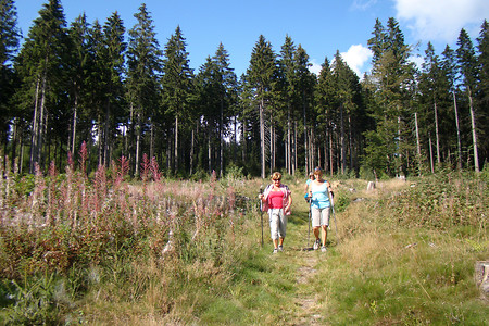 Wandern im Fichtelgebirge &ndash; (04.09.2011, VGN &copy;&nbsp;VGN GmbH)