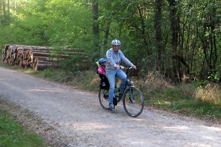 Unterwegs im Wald &ndash; (10.07.2018, VGN &copy;&nbsp;VGN GmbH)