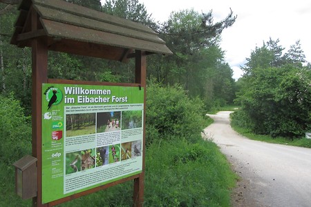Abzweig Eibacher Forst &ndash; (21.10.2016, schreibwerk &copy;&nbsp;schreibwerk)