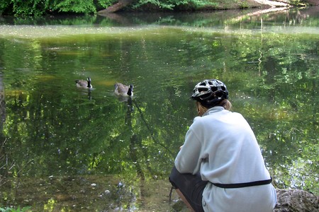 Enten am Faberpark See &ndash; (21.10.2016, schreibwerk &copy;&nbsp;schreibwerk)