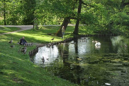 Dutzendteich &ndash; (21.10.2016, schreibwerk &copy;&nbsp;schreibwerk)