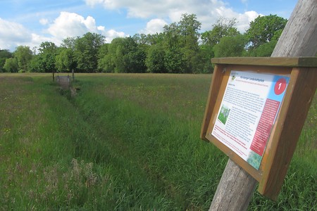 Eibach Reichelsdorf &ndash; (21.10.2016, schreibwerk &copy;&nbsp;schreibwerk)
