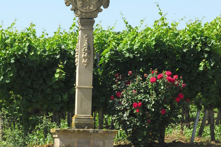 Marterl am Weinberg &ndash; (08.08.2016, VGN &copy;&nbsp;VGN GmbH)