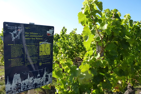 Zwischen Sulzfeld und Segnitz &ndash; (16.10.2016, VGN &copy;&nbsp;VGN GmbH)