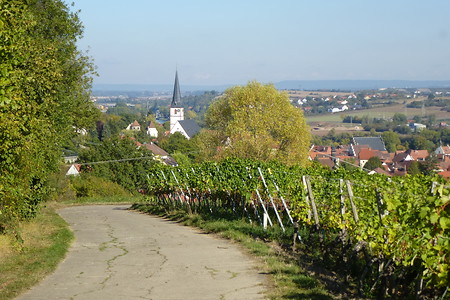 Blick zurück auf Sulzfeld in Wegrichtung Marktbreit &ndash; (16.10.2016, VGN &copy;&nbsp;VGN GmbH)