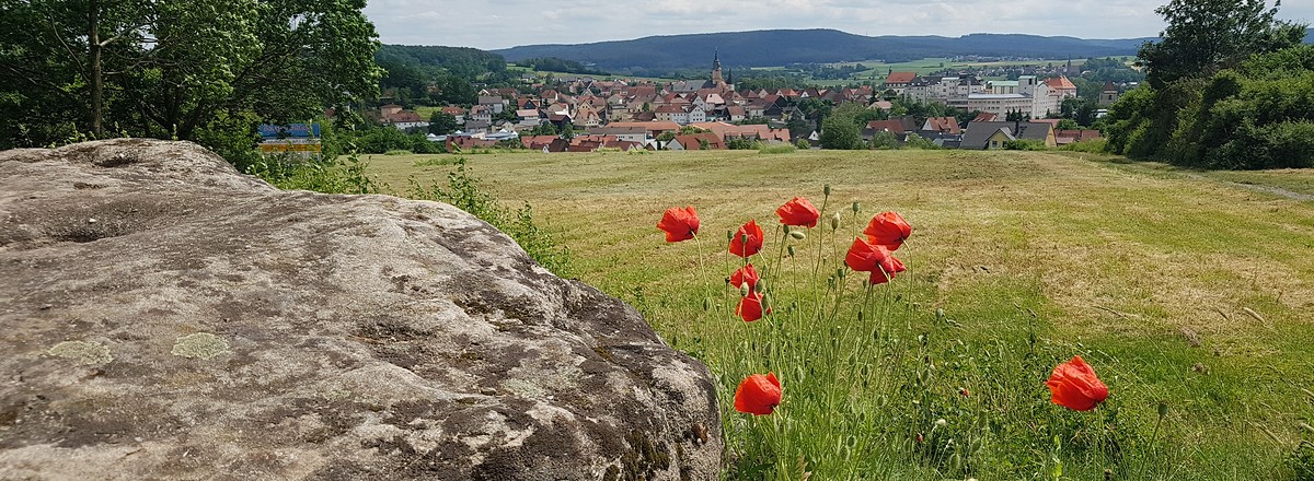 Letztes Stück nach Burgkunstadt &ndash;  (15.06.2019, S. Dassler &copy;&nbsp;VGN GmbH)