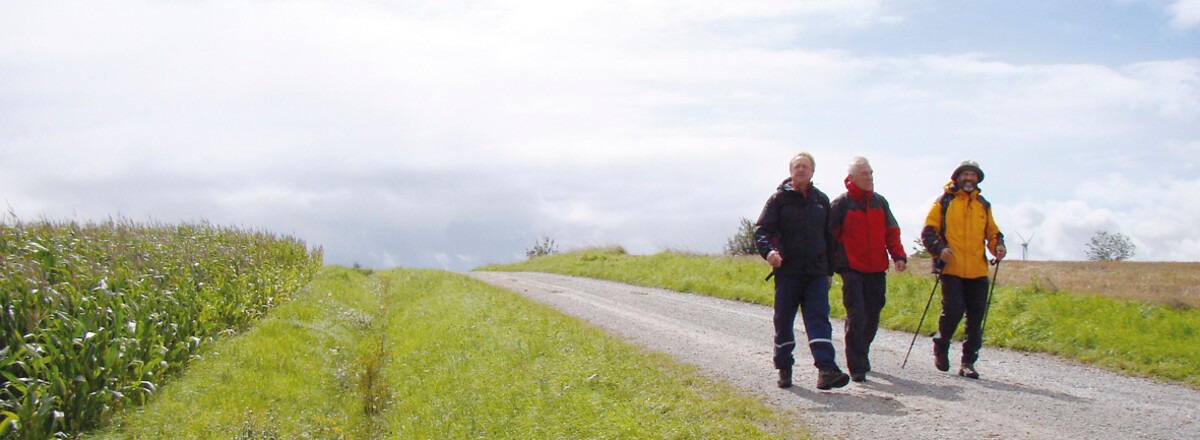 Anhöhe nach Rennhofen &ndash;  (VGN &copy;&nbsp;VGN GmbH)