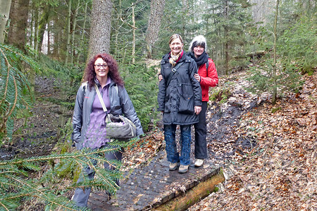 Wanderer im Wald &ndash; (29.03.2013, VGN &copy;&nbsp;VGN GmbH)