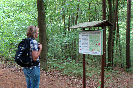 Wandertafel auf der Ludwigshöhe &ndash; (VGN &copy;&nbsp;VGN GmbH)