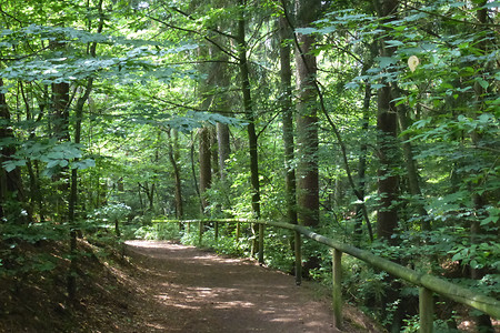 Im Tiefgraben &ndash; (VGN &copy;&nbsp;VGN GmbH)