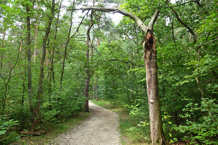 Weg zum Tiefgraben &ndash; (VGN &copy;&nbsp;VGN GmbH)