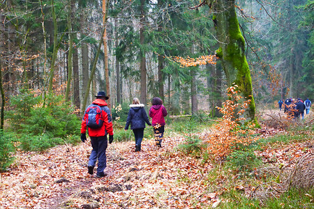 Herbstwanderung am Langwassergraben &ndash; (29.03.2013, VGN &copy;&nbsp;VGN GmbH)