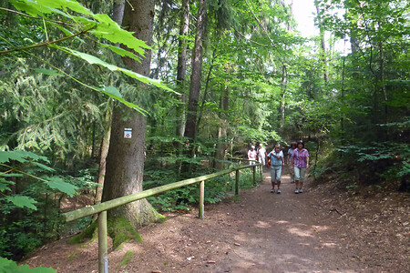 Entlang der Sandsteinschlucht &ndash; (VGN &copy;&nbsp;VGN GmbH)