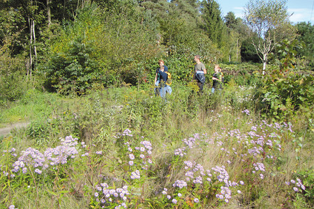 Märchenhafte Wälder &ndash; (VGN &copy;&nbsp;VGN GmbH)