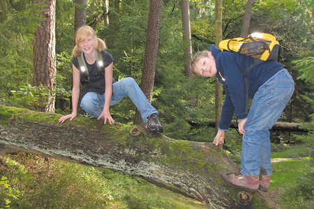 Akrobaten im Wald II &ndash; (VGN &copy;&nbsp;VGN GmbH)