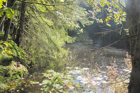 Wernloch &ndash; (VGN &copy;&nbsp;VGN GmbH)