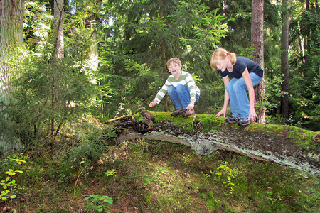 Akrobaten im Wald I &ndash; (03.10.2010, VGN &copy;&nbsp;VGN GmbH)
