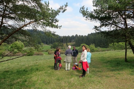 Talblick &ndash; (07.02.2018, VGN &copy;&nbsp;VGN GmbH)