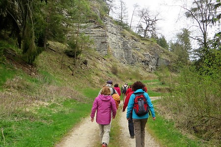 Alte Steinbrüche &ndash; (07.02.2018, VGN &copy;&nbsp;VGN GmbH)