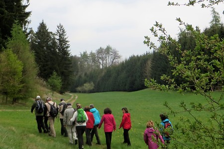 Im Fibertshofer Tal &ndash; (07.02.2018, VGN &copy;&nbsp;VGN GmbH)