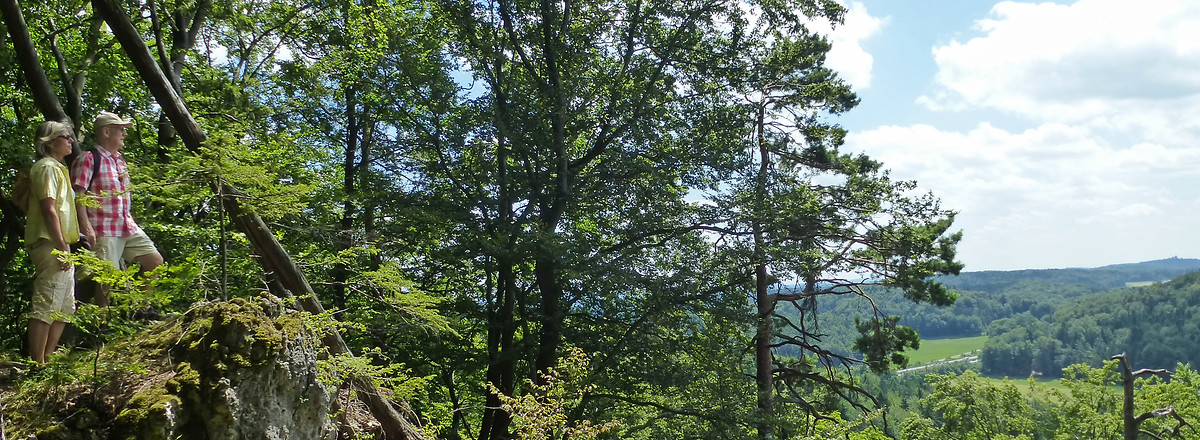 Aussicht &ndash;  (06.07.2014, VGN &copy;&nbsp;VGN GmbH)