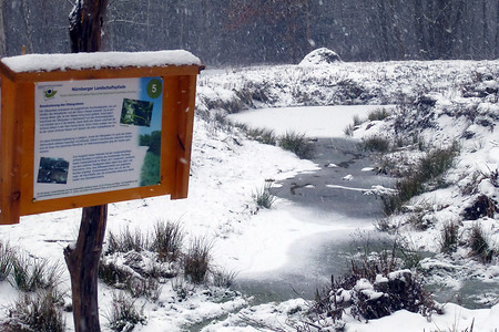 Bachlauf im Winter &ndash; (09.12.2012, VGN &copy;&nbsp;VGN GmbH)