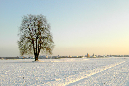 Blick auf Kornburg &ndash; (09.02.2003, VGN &copy;&nbsp;VGN GmbH)
