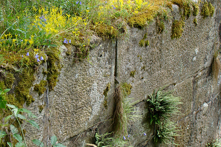 Sandstein am Alten Kanal &ndash; (08.07.2008, VGN &copy;&nbsp;VGN GmbH)