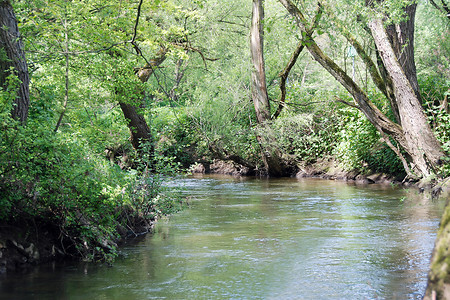 Die Schwarzach &ndash; (VGN &copy;&nbsp;VGN GmbH)