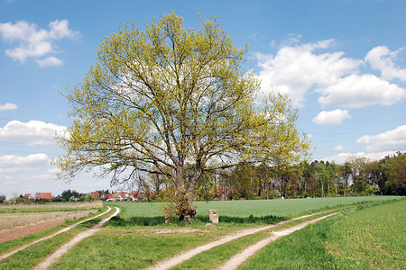 Unterwegs &ndash; (VGN &copy;&nbsp;VGN GmbH)