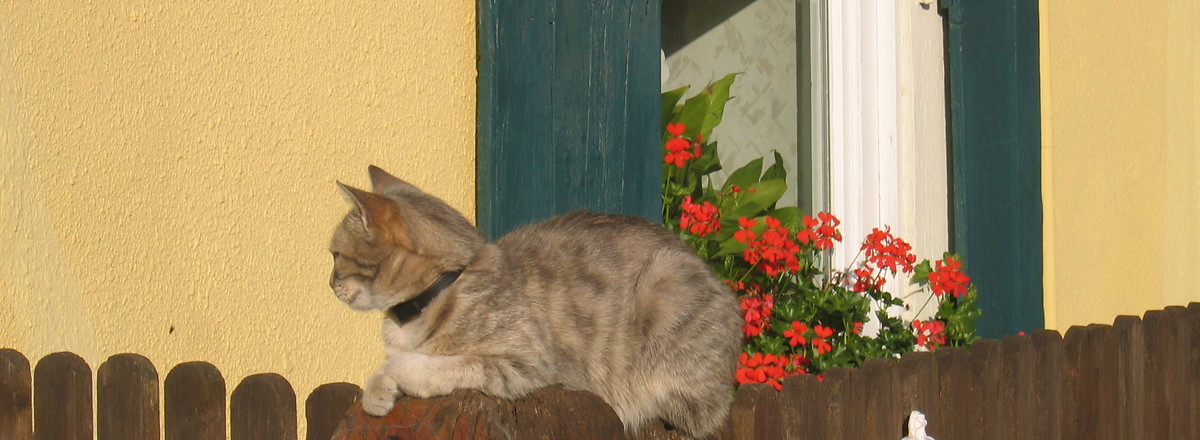 Ländliche Idylle in Oberntief &ndash;  (VGN &copy;&nbsp;VGN GmbH)