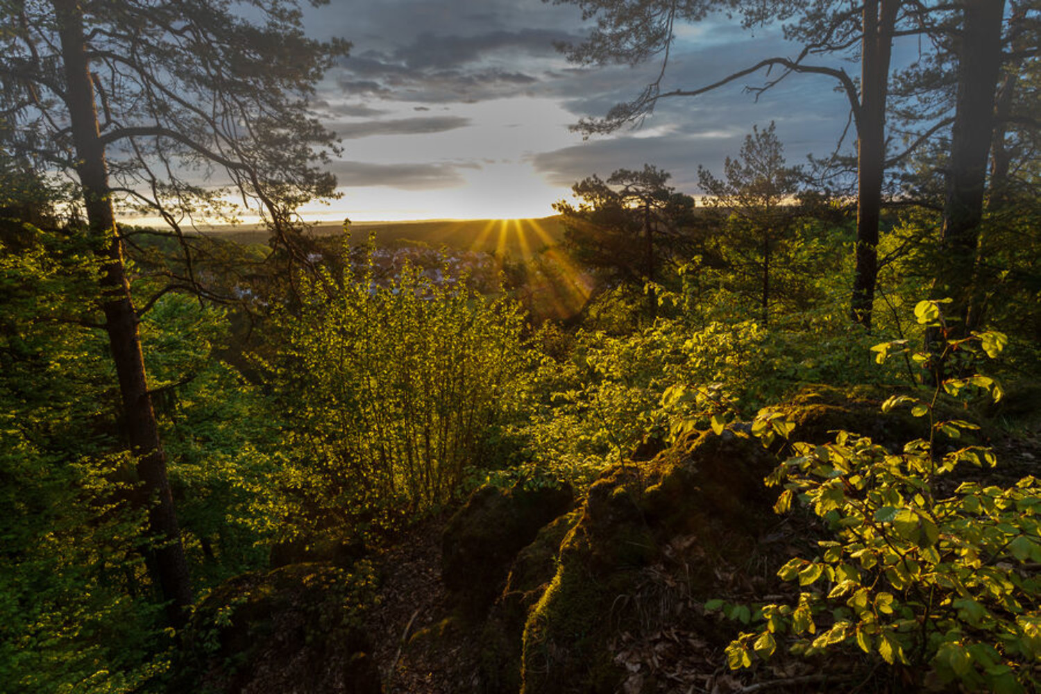 Sonnenaufgang in der Fränkischen Schweiz &ndash; Sonnenaufgang in der Fränkischen Schweiz  (15.05.2021, Ulrich Büscher &copy;&nbsp;VGN)