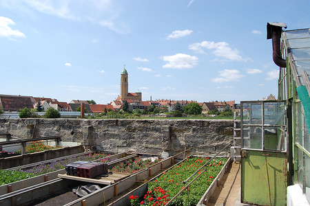 In der Gärtnerstadt (EN) &ndash; (Bamberg Tourismus & Kongress Service &copy;&nbsp;Bamberg Tourismus & Kongress Service)