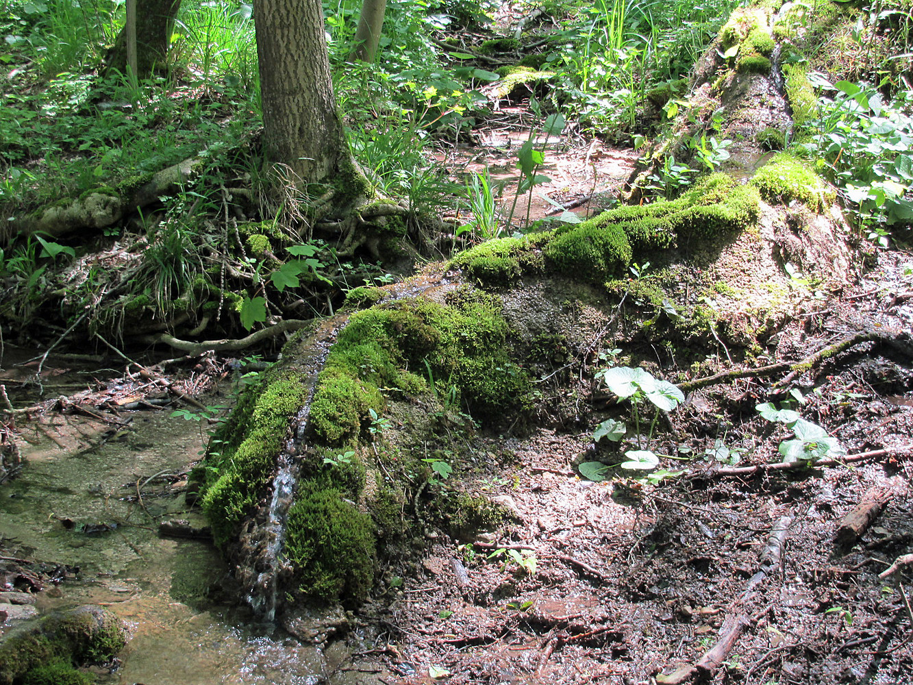 Steinerne Rinne &ndash;  (20.05.2014, VGN &copy;&nbsp;VGN GmbH)