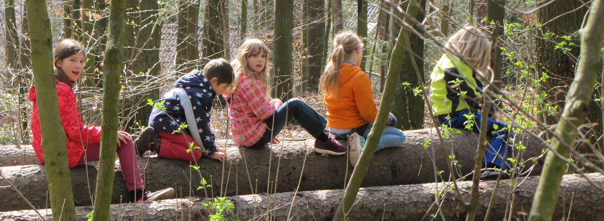 Baumstammzug &ndash;  (20.02.2017, VGN &copy;&nbsp;VGN GmbH)