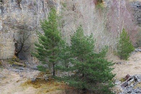 Steinbruch Osterdorf im Altmühltal &ndash; Steinbruch beim VGN Freizeittipp im Altmühltal (27.05.2019, &copy;&nbsp;VGN GmbH)