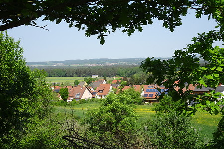 Schöner Ausblick zwischen den Bäumen &ndash; (05.05.2018, VGN S.Dassler &copy;&nbsp;VGN GmbH)